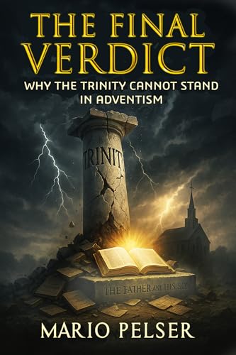 Cover of The Final Verdict by Mario Pelser